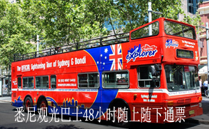 收录：澳洲的公共交通——Bus